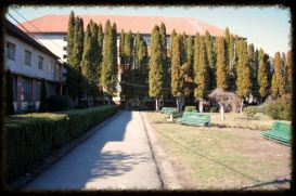 Complexul Turistic Liceul  Silvic Gurghiu | Cazare Gurghiu